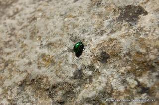 ntana Paradiso-15-05-2014 17-41-46
